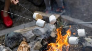 Best Summer Camp Food