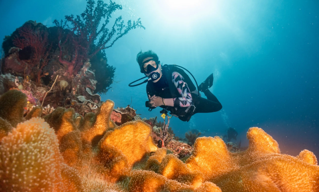 Best Diving Spots in Raja Ampat